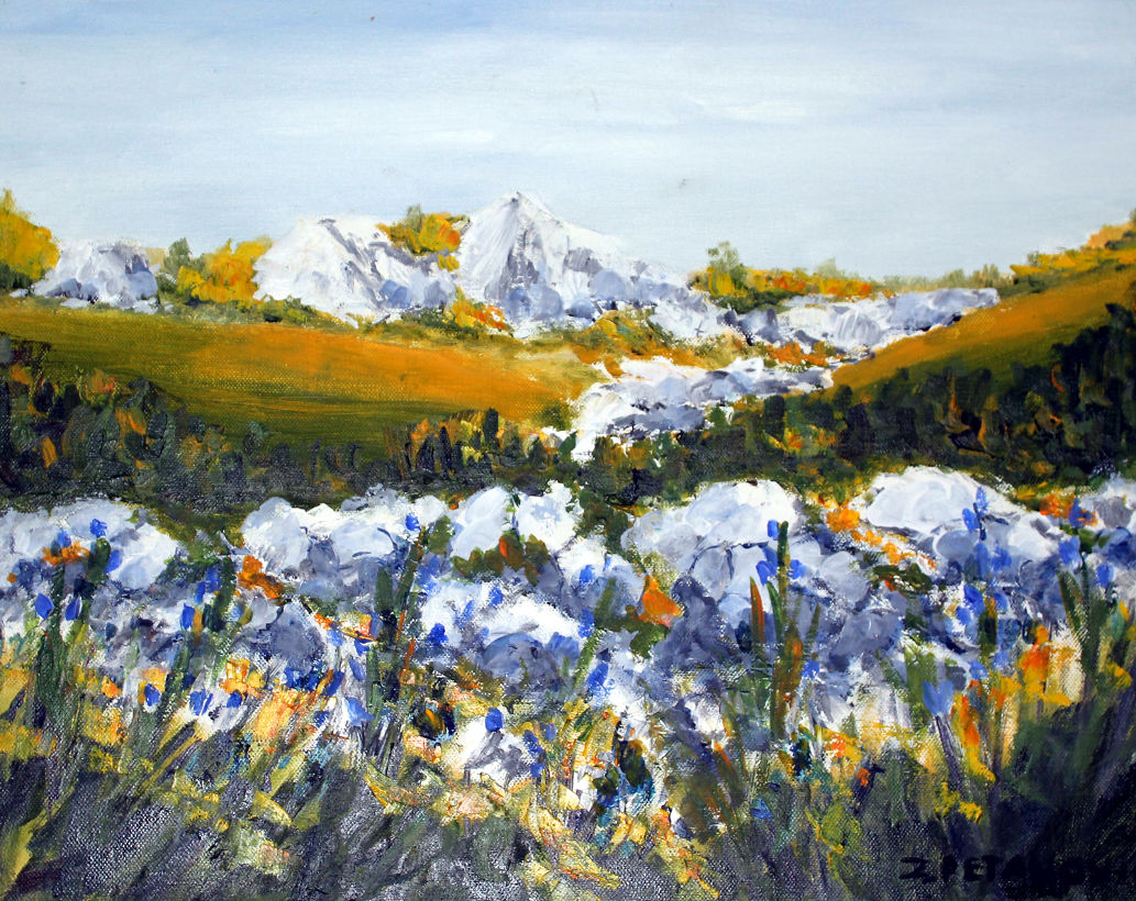 Zvonko Petanović Slavonski Brod